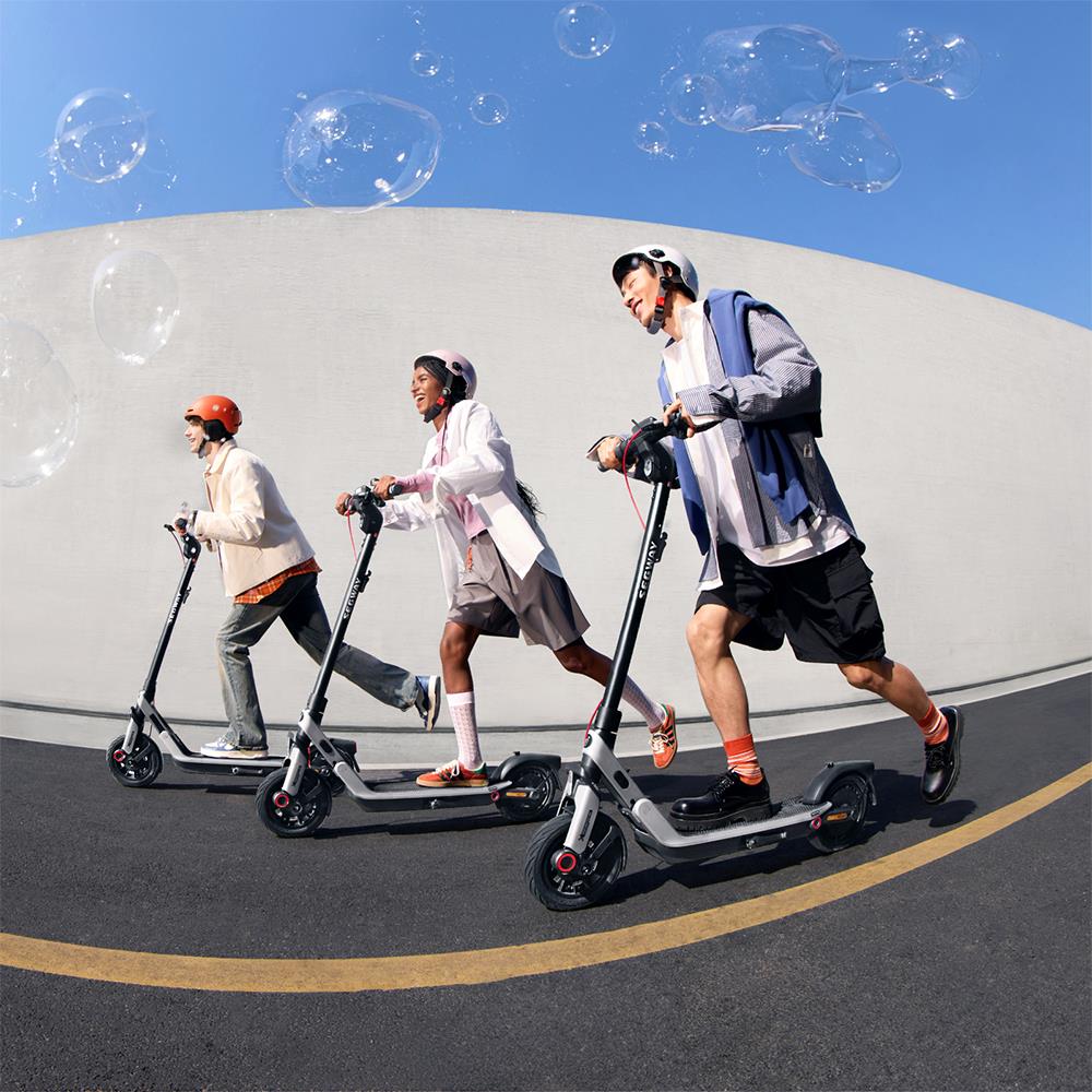 Segway Ninebot E3 Pro Electric Scooter