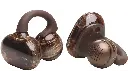 JBL SoundGear Clips True Wireless Earbuds Copper JB.JBLSNDGEARCLCOP